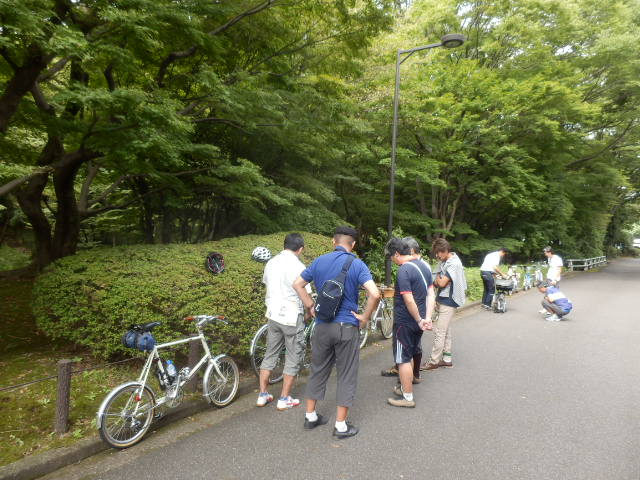 イメージ 12