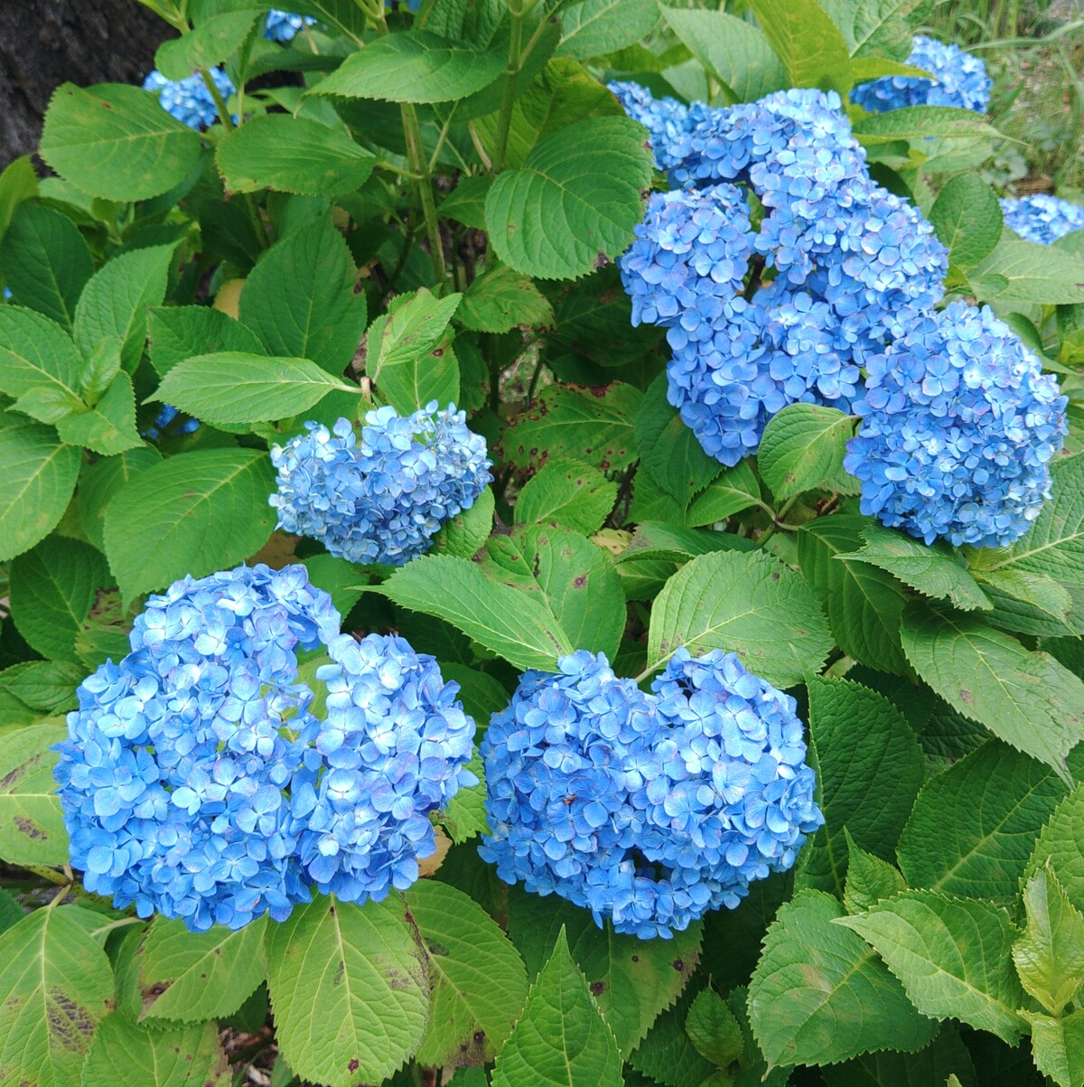 KIMG5343