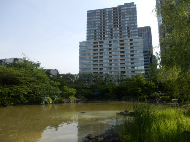 イメージ 31