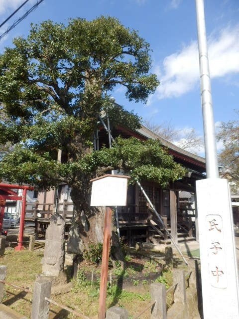イメージ 7
