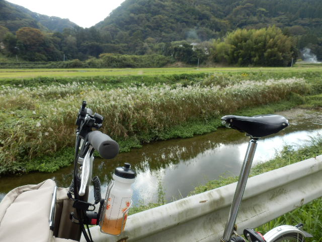 イメージ 11