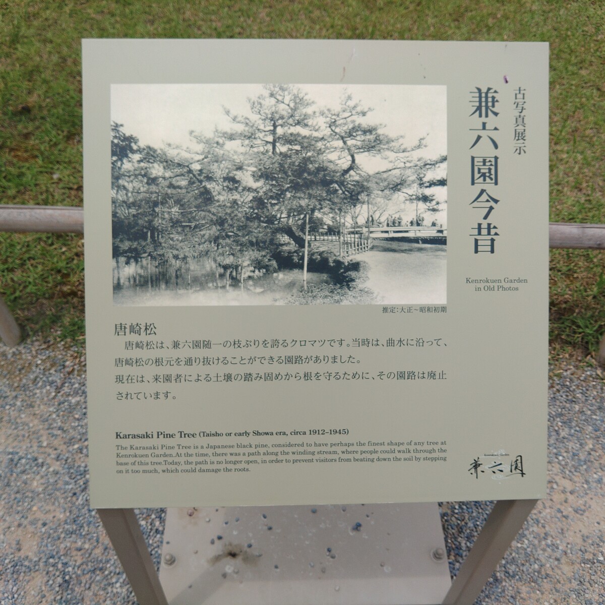 KIMG6309