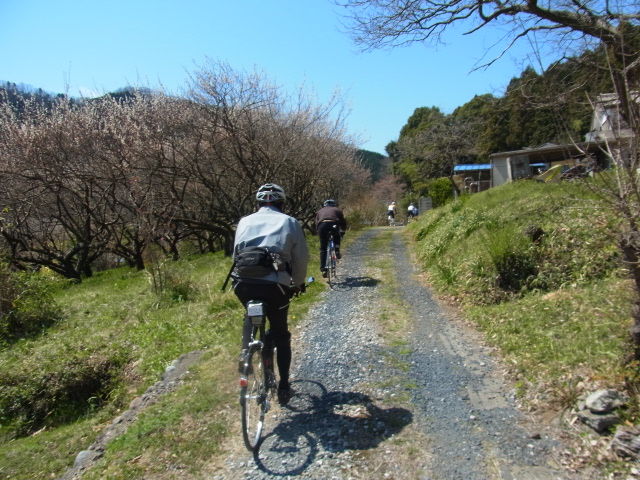 イメージ 4