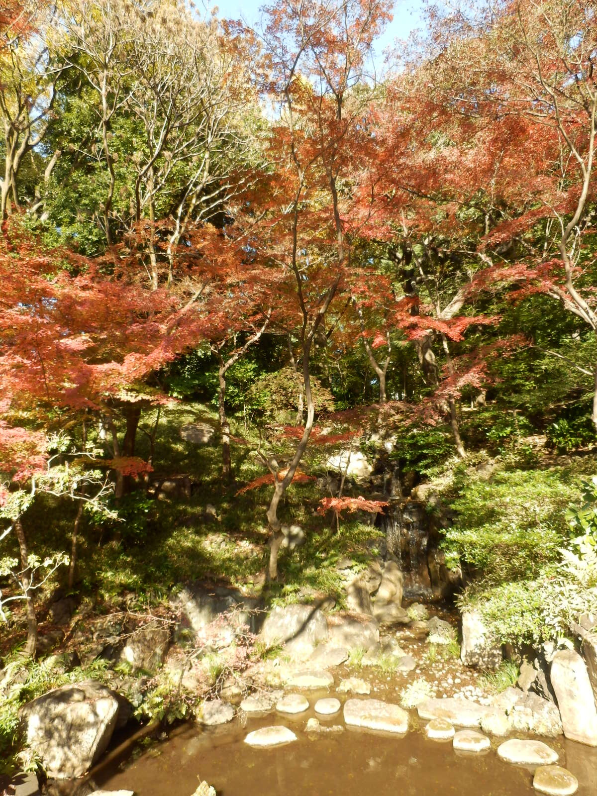 PC030126