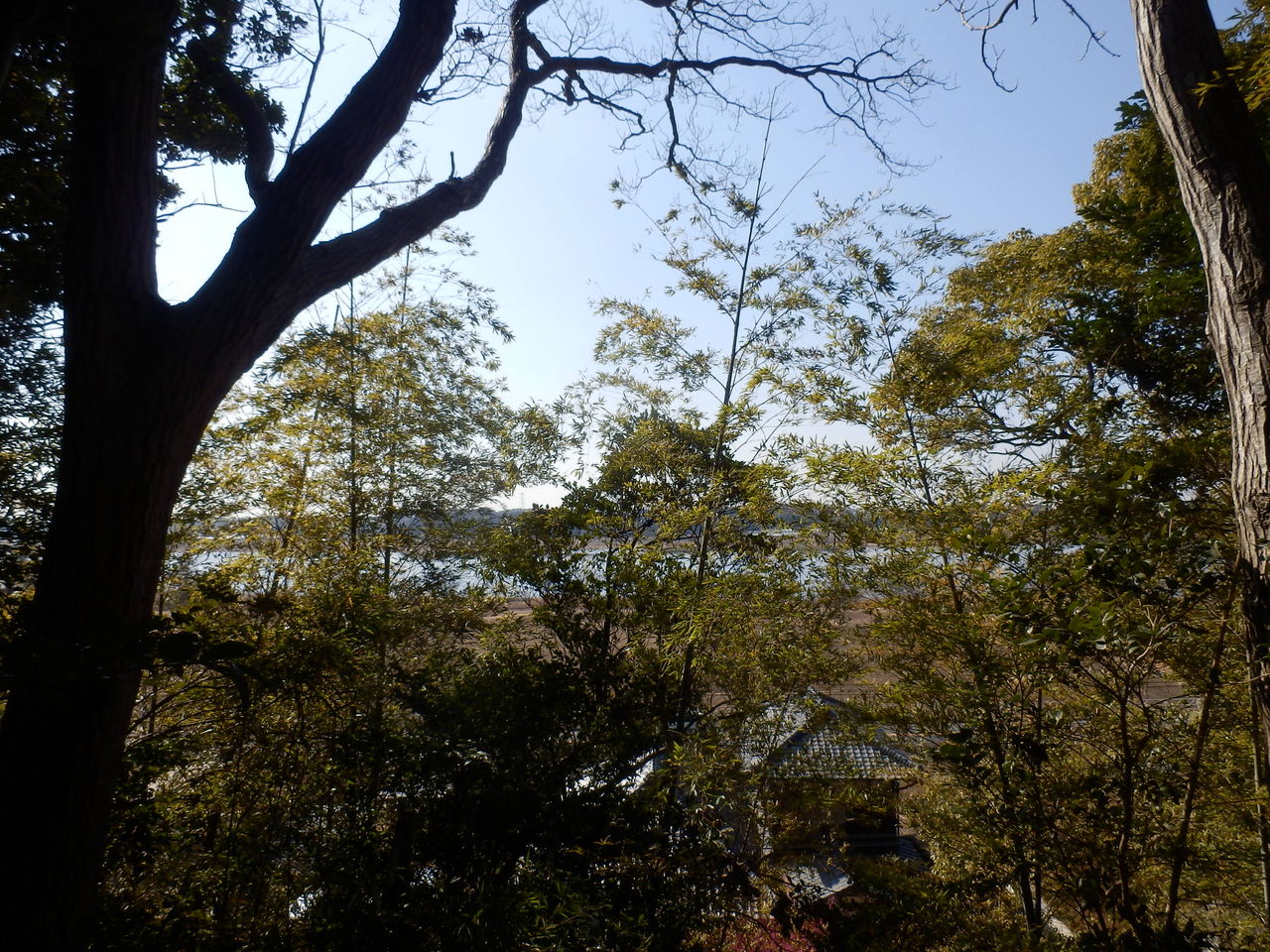イメージ 11