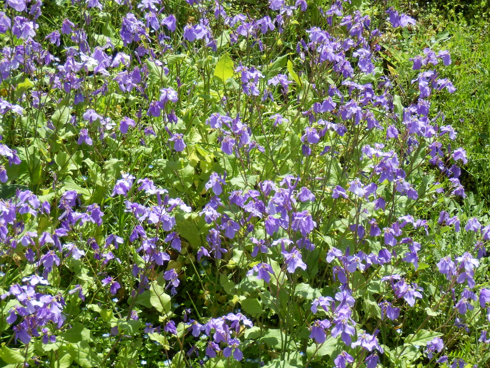P4110032