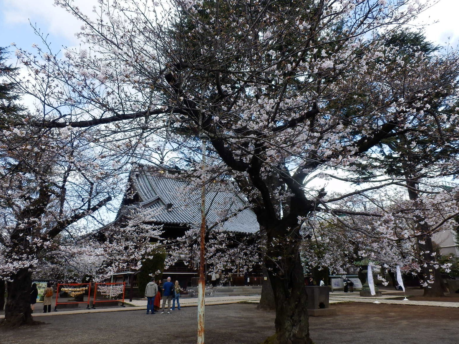 P3270086