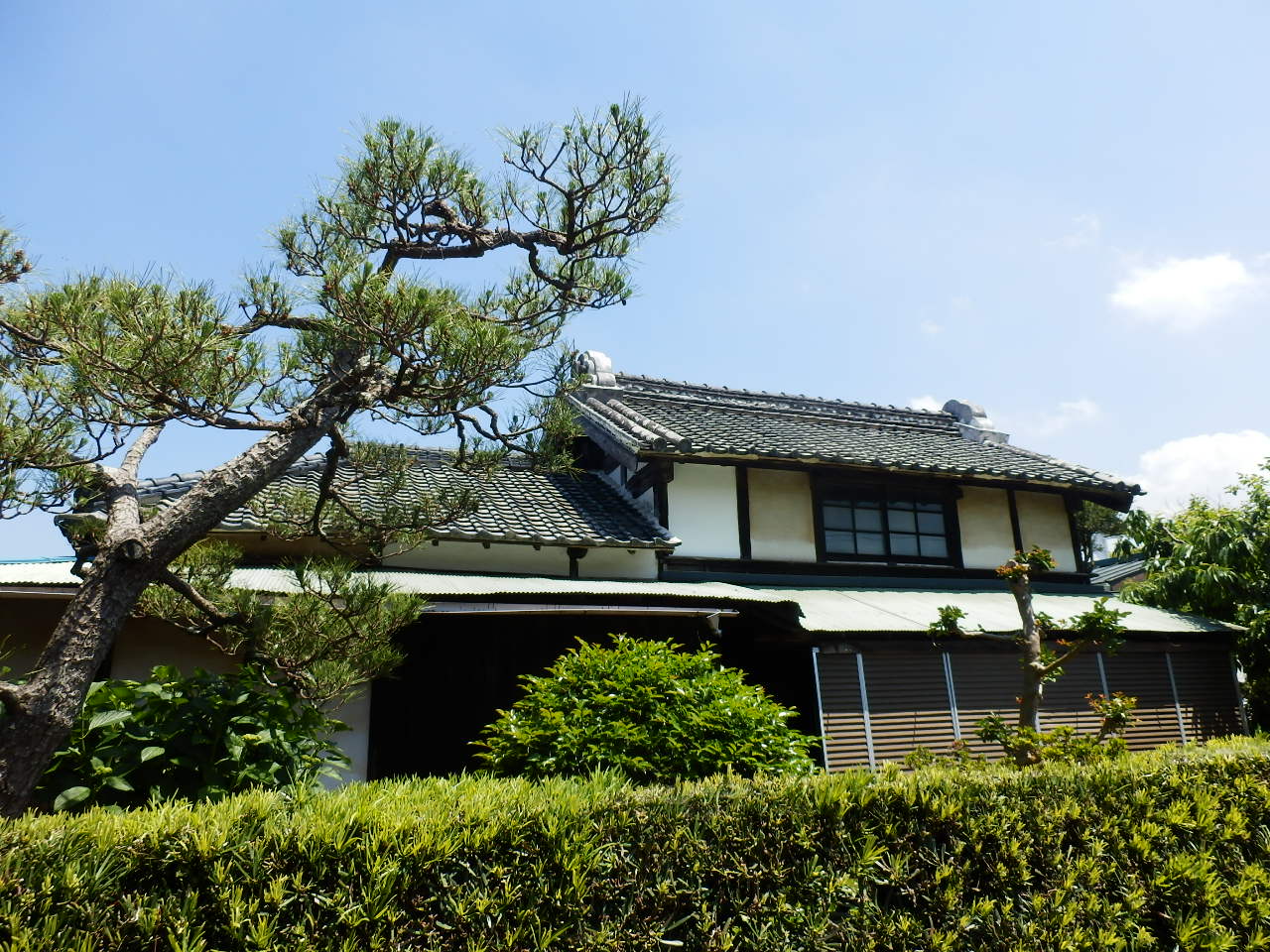 P5160110