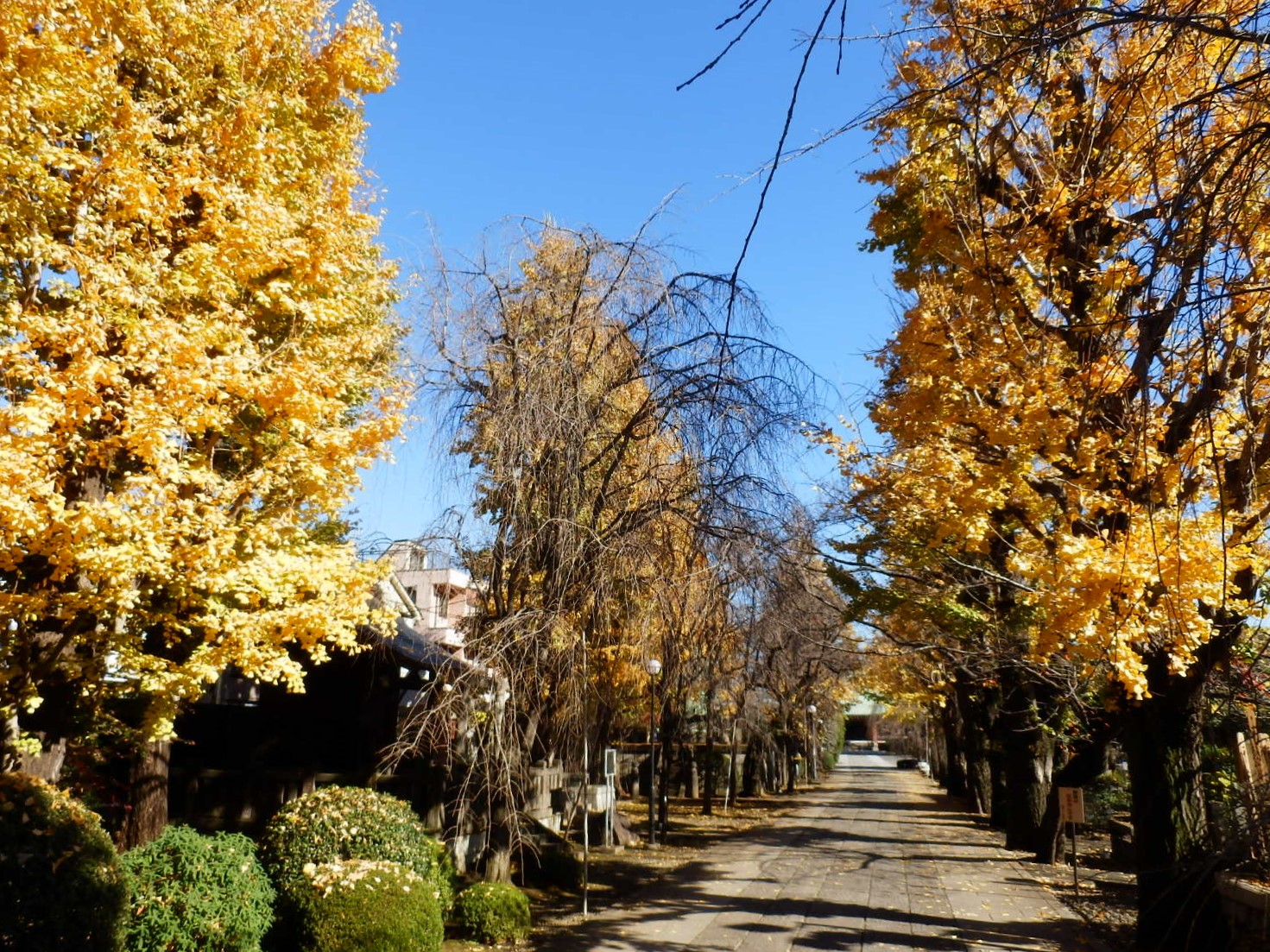 PC070114