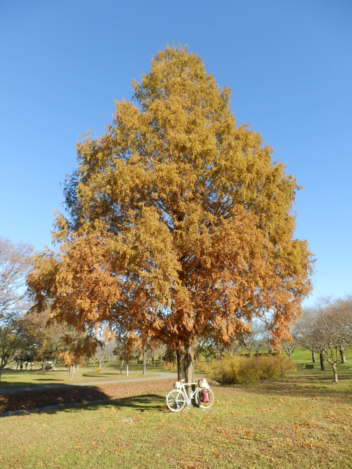 PB280149