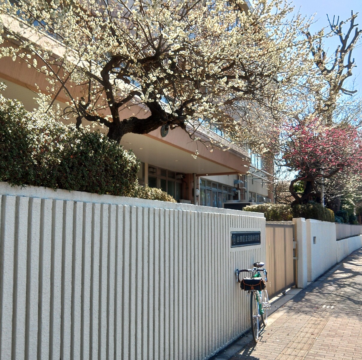 KIMG2569