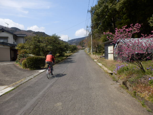 イメージ 7