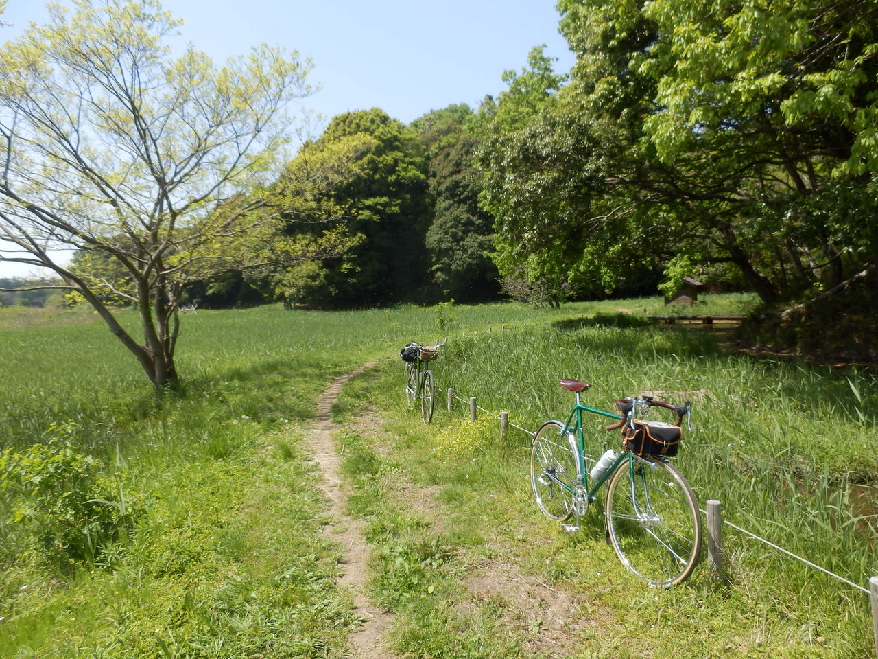 イメージ 1