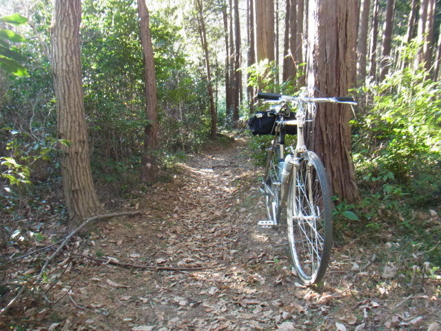 イメージ 18