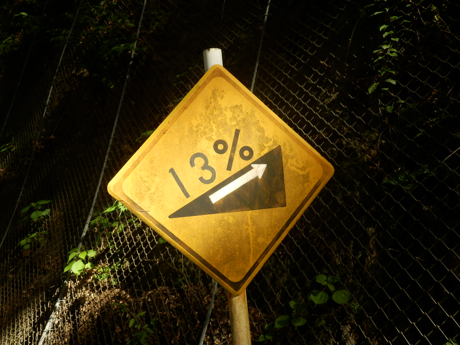 P7070087