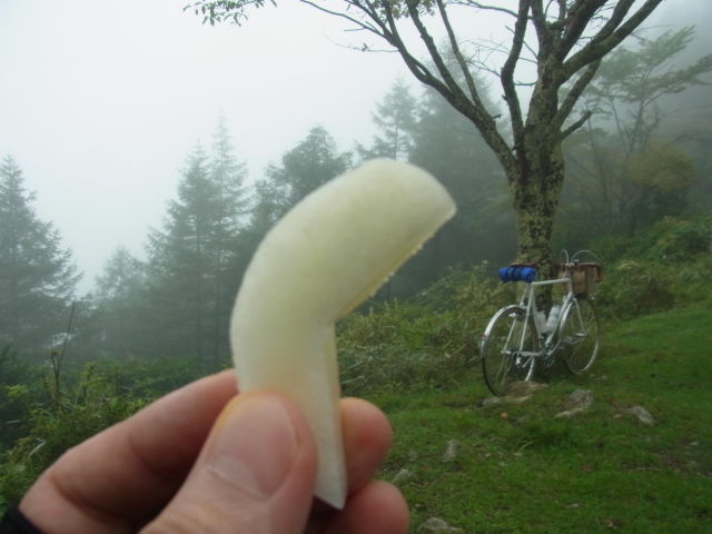 イメージ 12