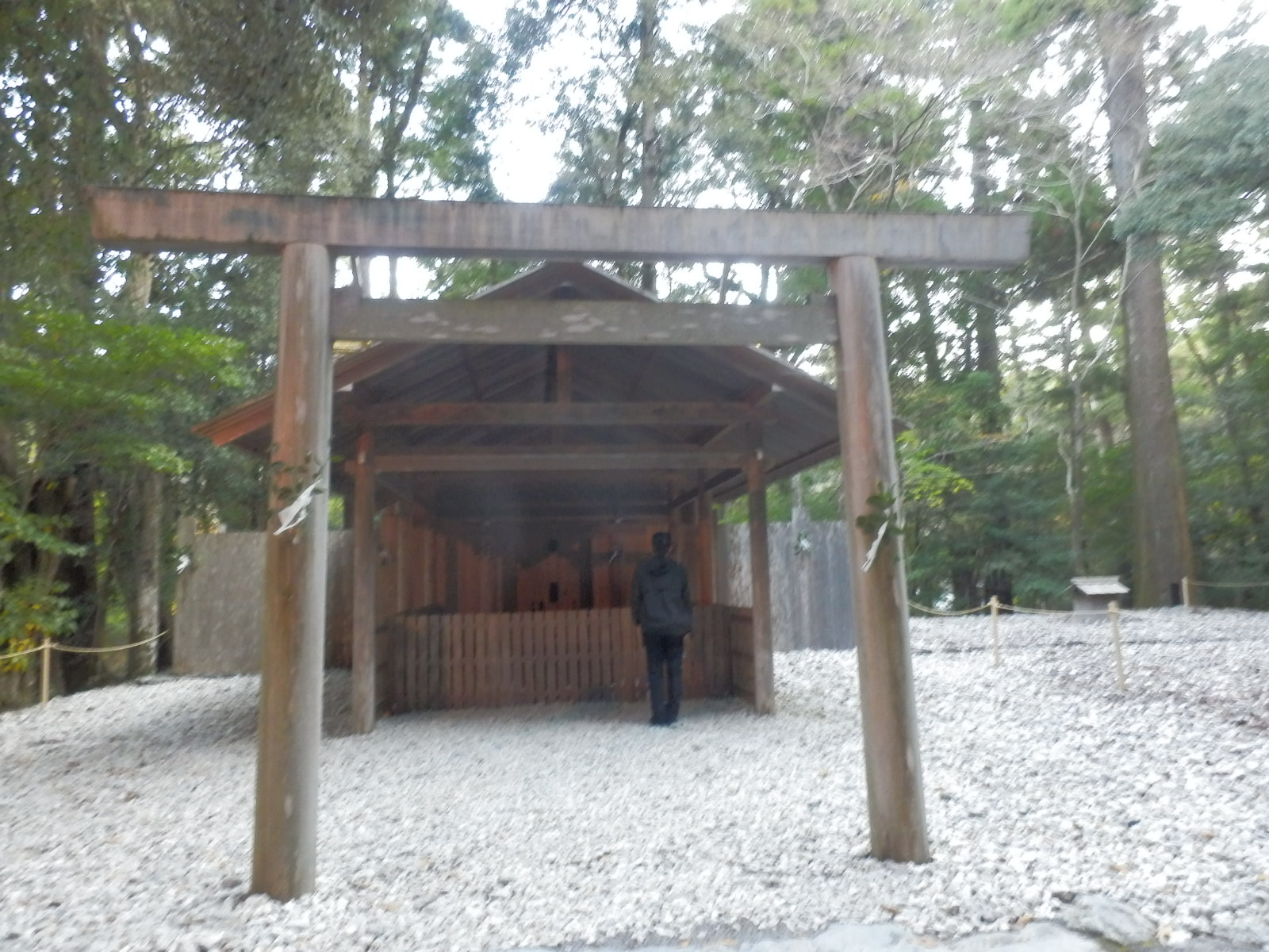 PC040089
