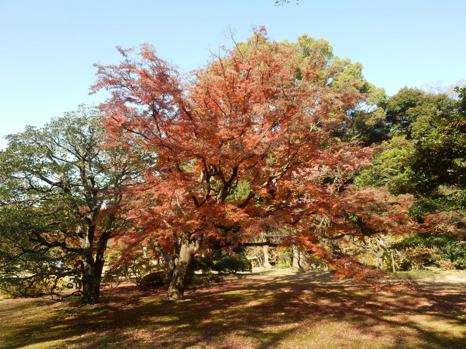 PC030060