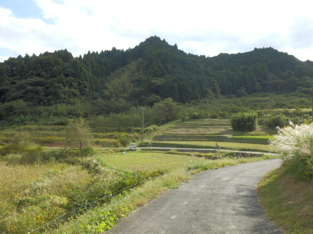 イメージ 16
