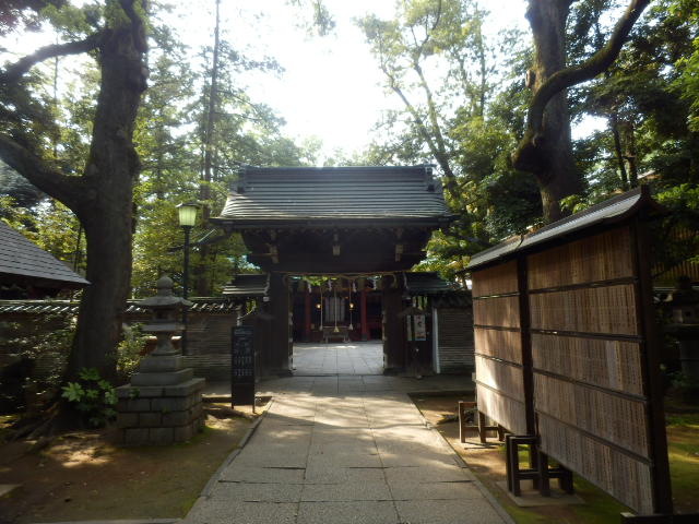 イメージ 35
