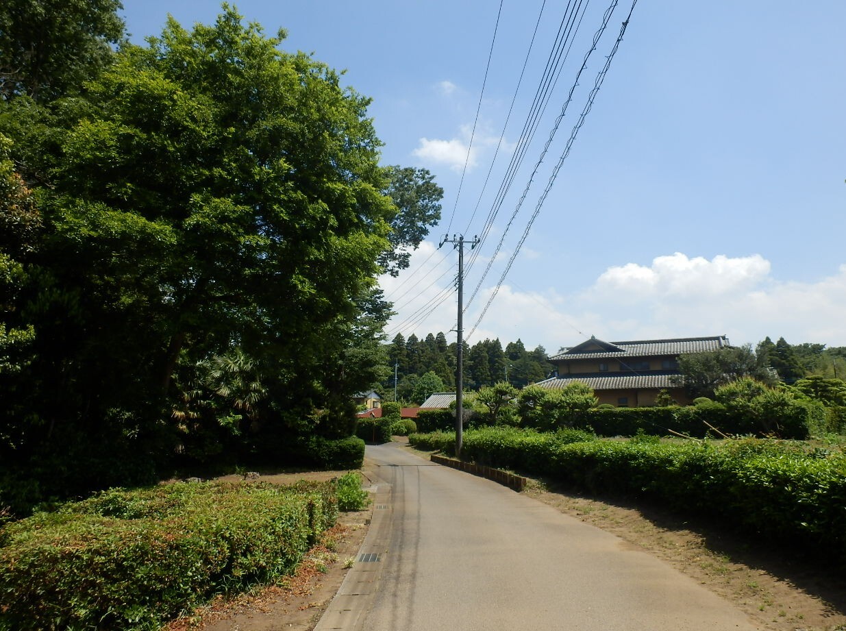 P5160108