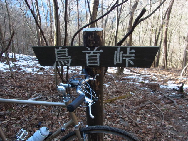 イメージ 17
