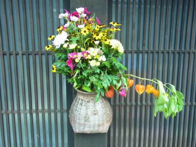 イメージ 6