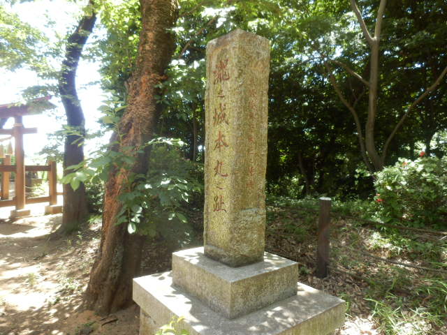 イメージ 28