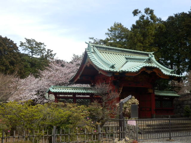 イメージ 10