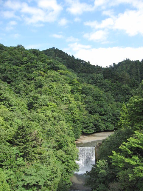 イメージ 8