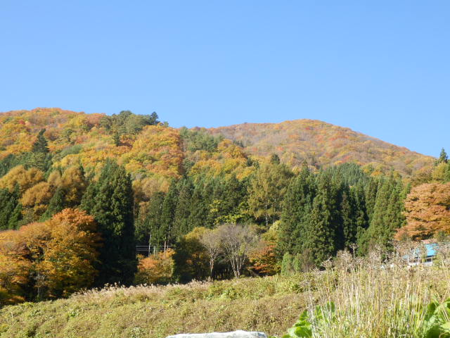 イメージ 5
