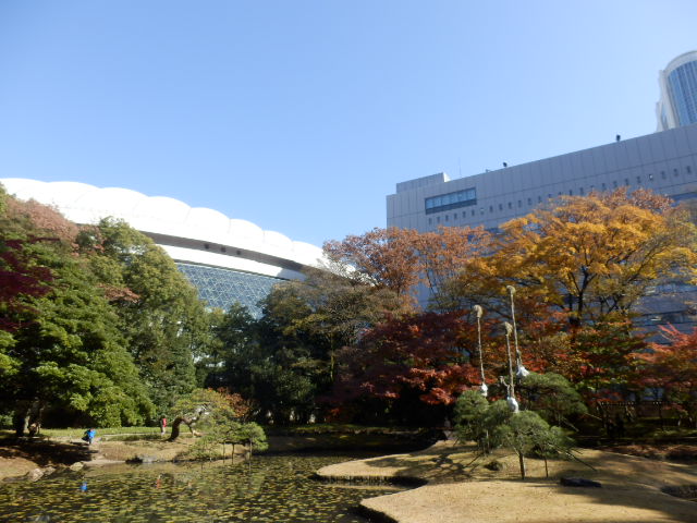イメージ 21