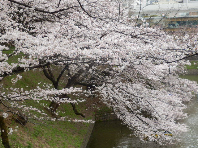 イメージ 14