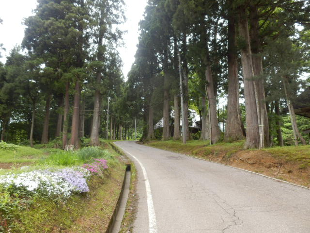 イメージ 20