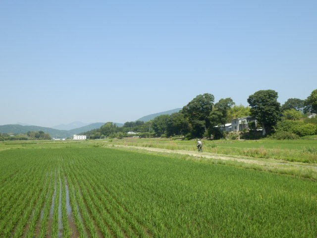 イメージ 4