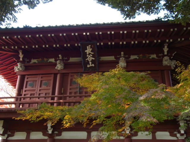イメージ 16