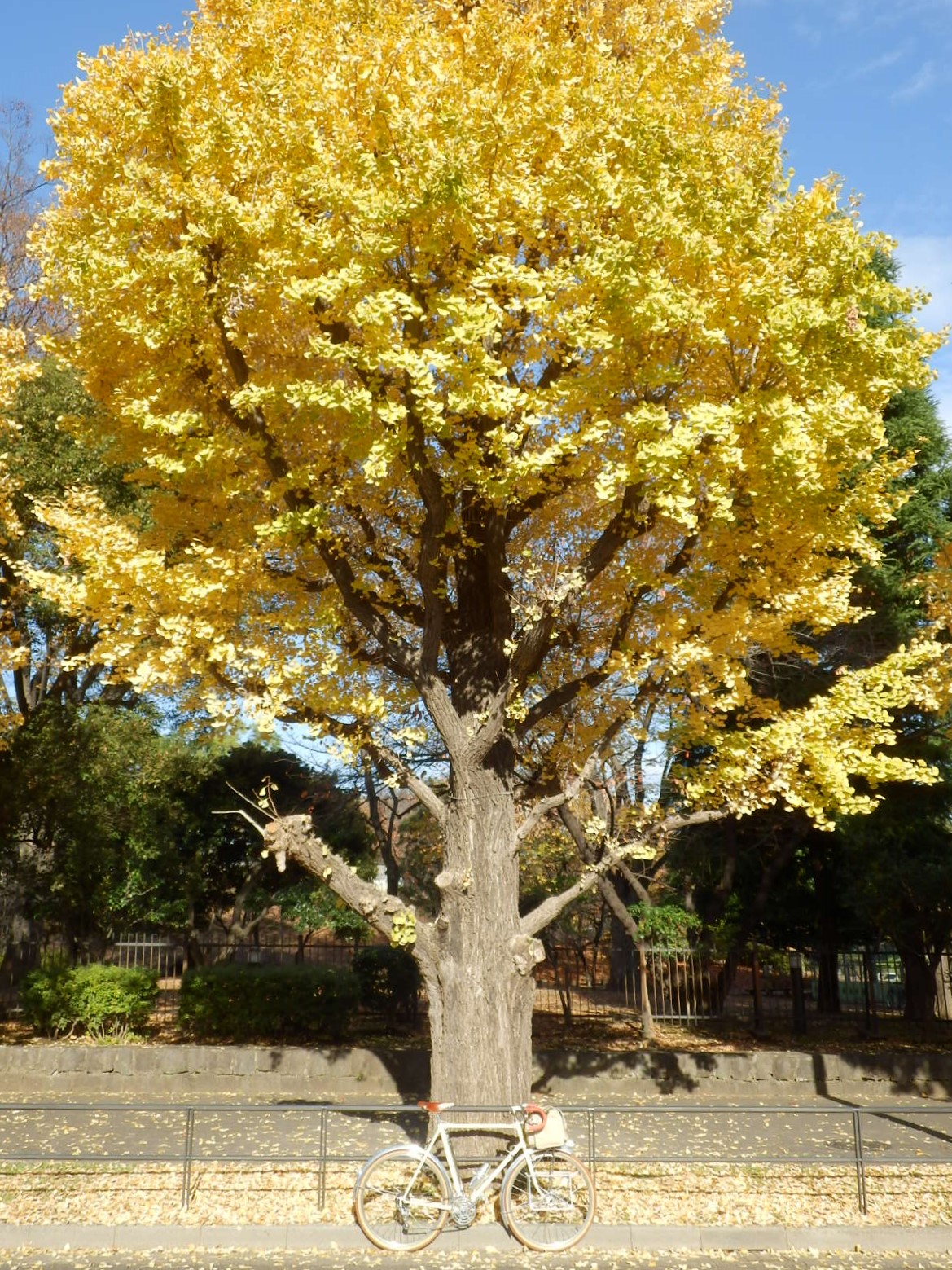 PC040023