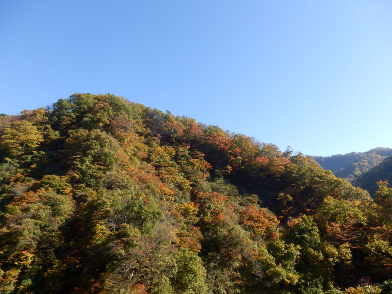 イメージ 8