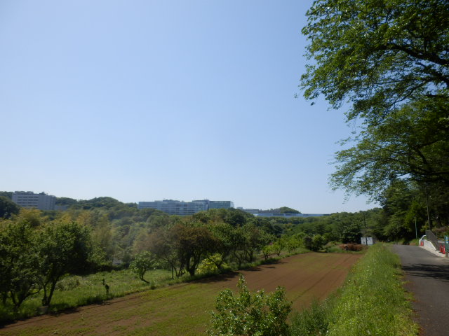 イメージ 4