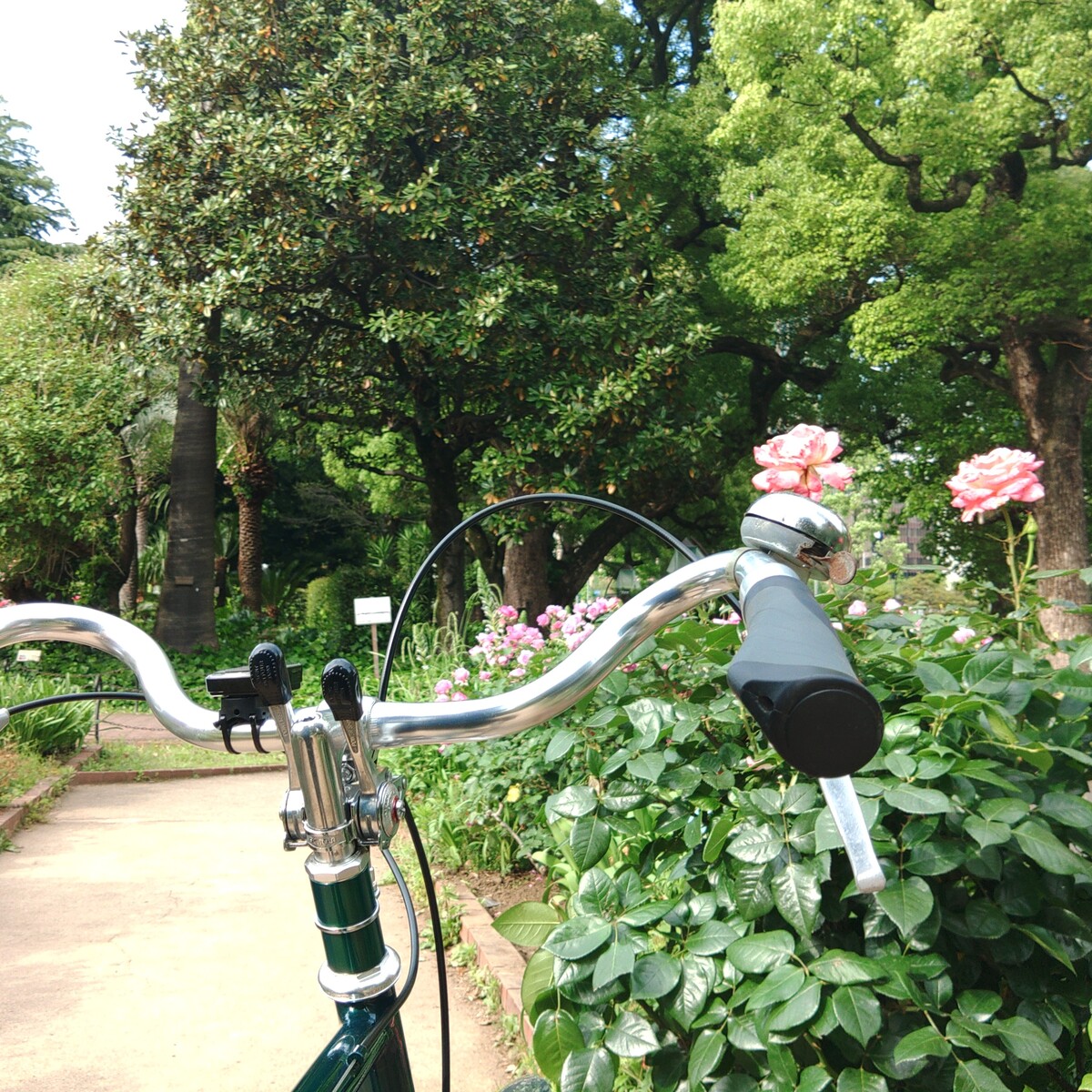 KIMG8112_04_BURST1008112