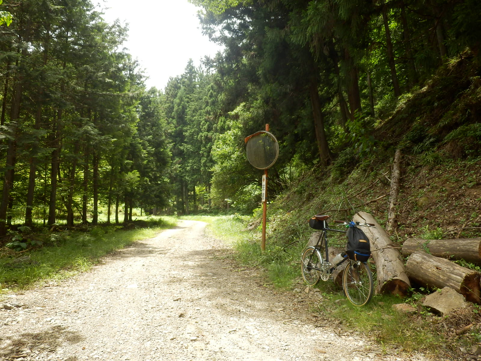 P7070130