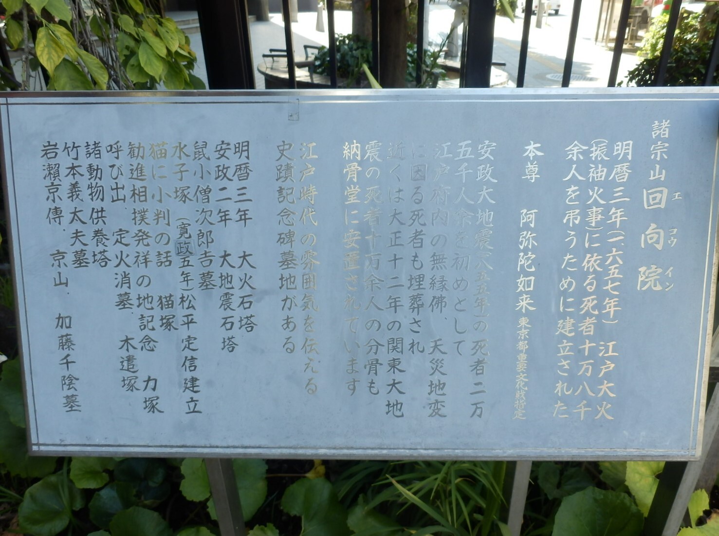 P8030120
