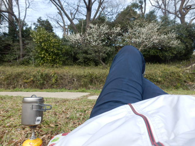 イメージ 12