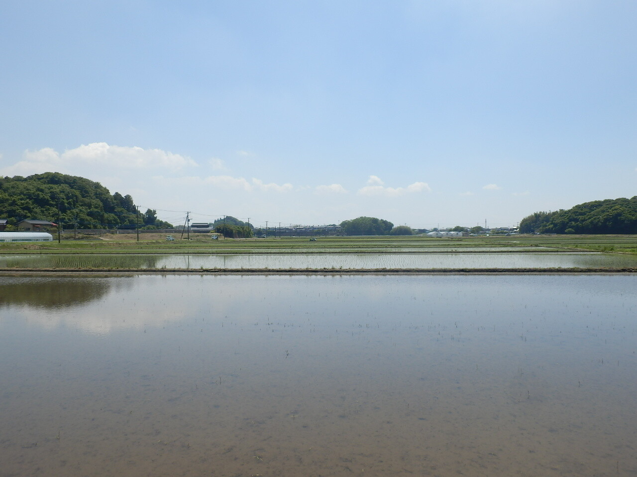P5160032