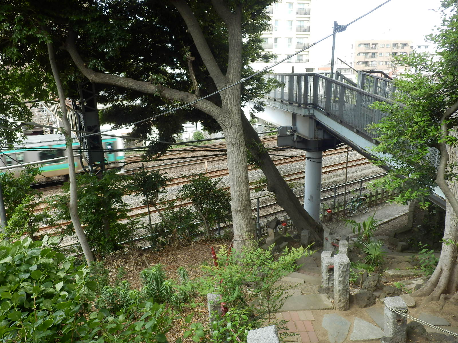 P4290047