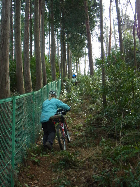 イメージ 3