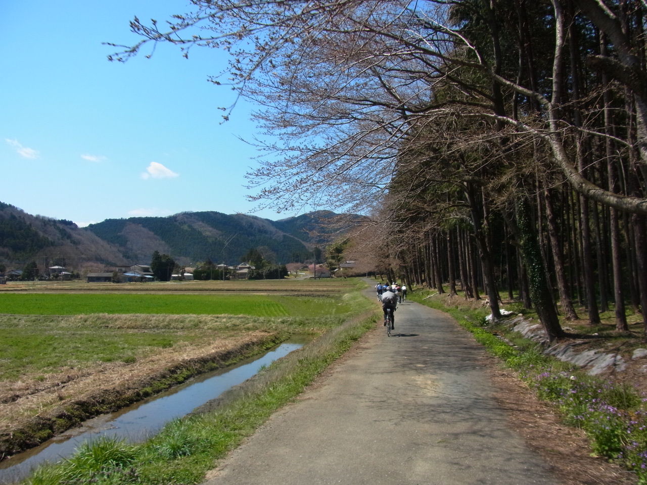 イメージ 3