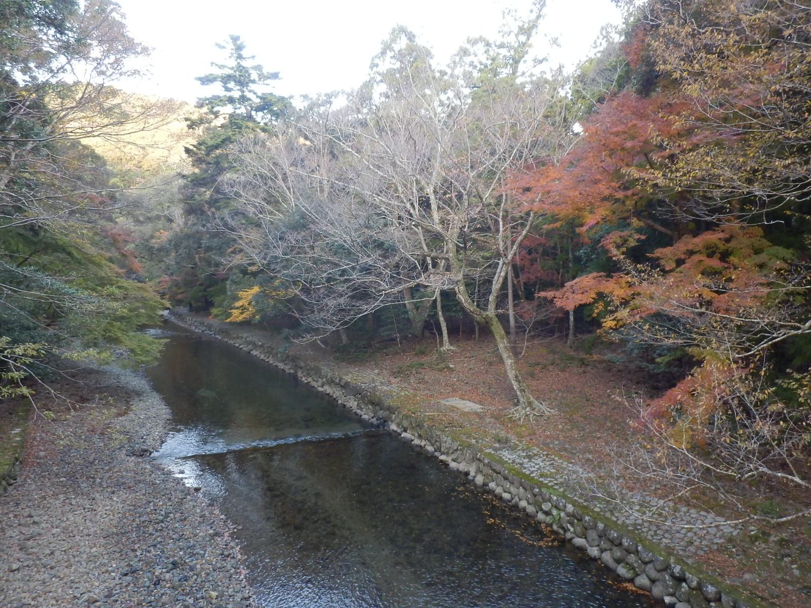 PC040086