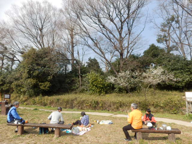イメージ 10