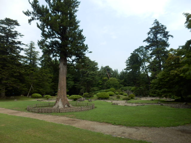 イメージ 13